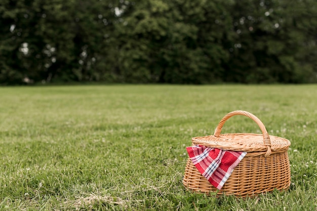 Picknickkorb auf Parkgras