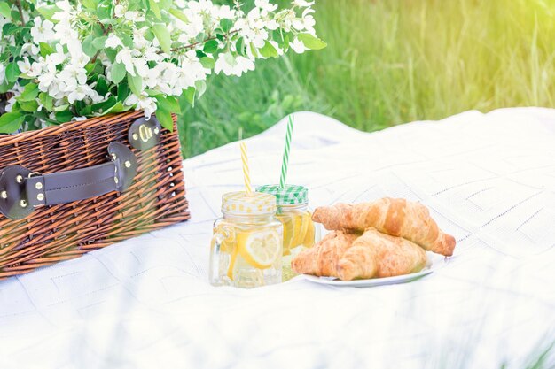 Picknickkorb mit Limonade und Croissants auf einer weißen Decke in einem blühenden Apfelgarten