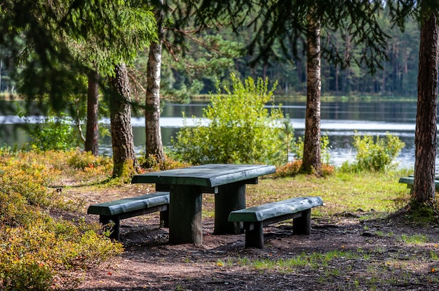 Picknickplatz im wald mit tischen und bänken am see. lettland. baltisch.