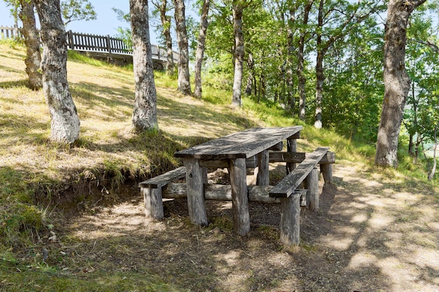 Picknicktisch aus Holz und Picknickplatz im Wald neben dem Pollino-Nationalpark an einem sonnigen Tag, einem breiten Naturschutzgebiet in Basilikata und Kalabrien, Italien