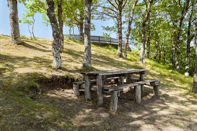 Picknicktisch aus Holz und Picknickplatz im Wald neben dem Pollino-Nationalpark an einem sonnigen Tag, einem breiten Naturschutzgebiet in Basilikata und Kalabrien, Italien