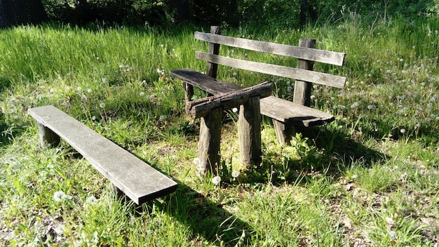 Picknicktisch und Bank aus Holz in einem Wald oder Park