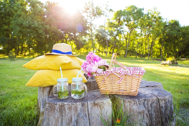 Picnic brillante de verano