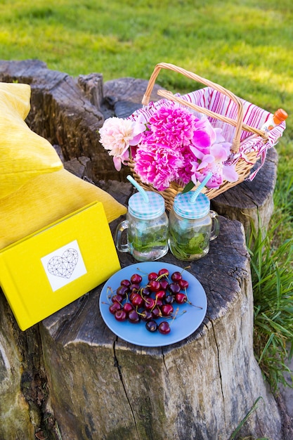 Picnic brillante de verano