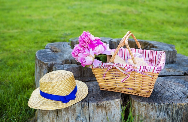 Picnic brillante de verano