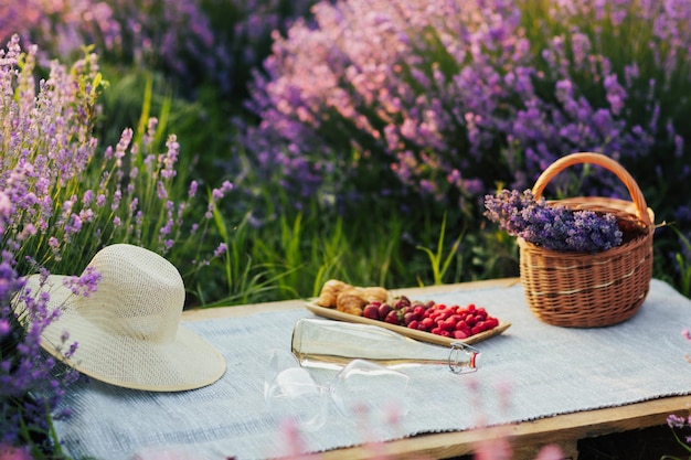 Picnic en campo de lavanda