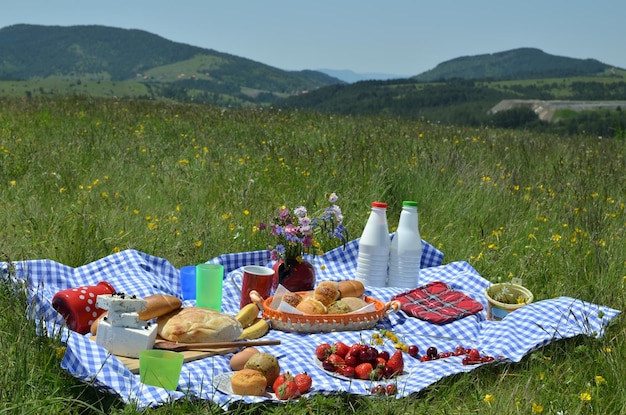 Picnic com uma deliciosa espalhada de queijo de leite de frutas frescas em uma toalha de mesa no prado