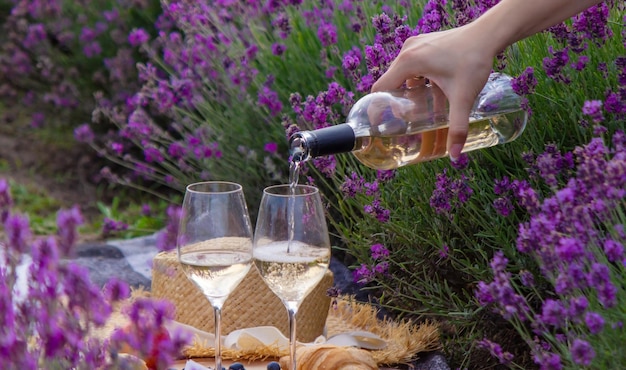 Picnic em um campo de lavanda descanso na natureza vinho bagas de frutas foco seletivo