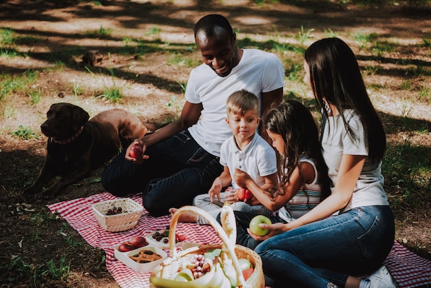 Picnic de familia juntos en el parque Brown Labrador