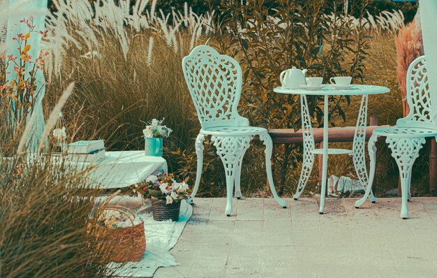 Picnic de inspiración al aire libre con la mesa de la cena y el ambiente de picnic