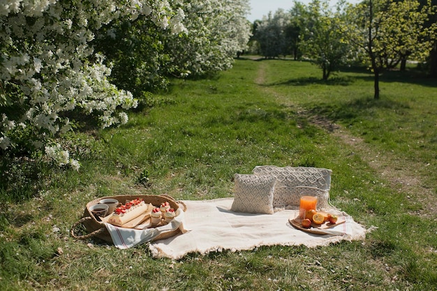 Picnic en la naturaleza, comidas y bebidas