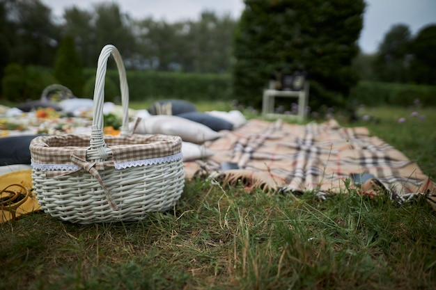 Picnic en la naturaleza Mucha comida en el picnic visto desde arriba