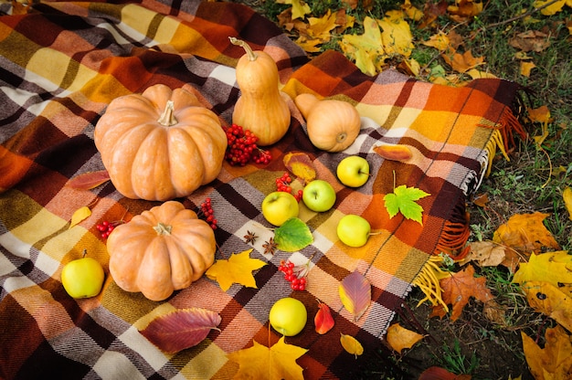 Picnic de otoño de acción de gracias