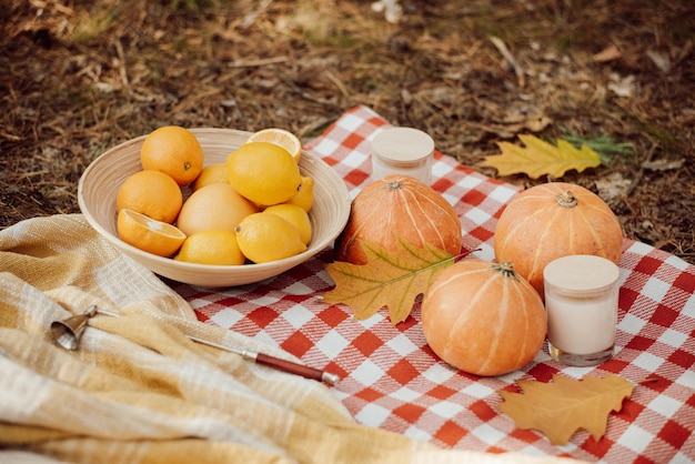 Picnic de otoño en el bosque de otoño Naranjas calabazas velas en una alfombra de picnic en un bosque de pinos