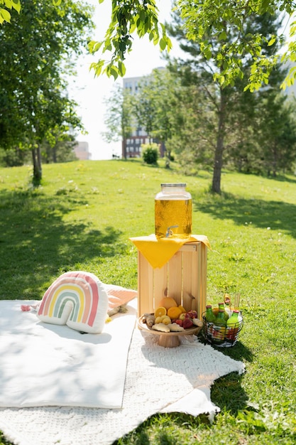 Picnic en el parque en un día soleado de verano