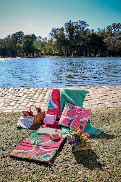 Picnic en el parque con gansos salvajes y lago