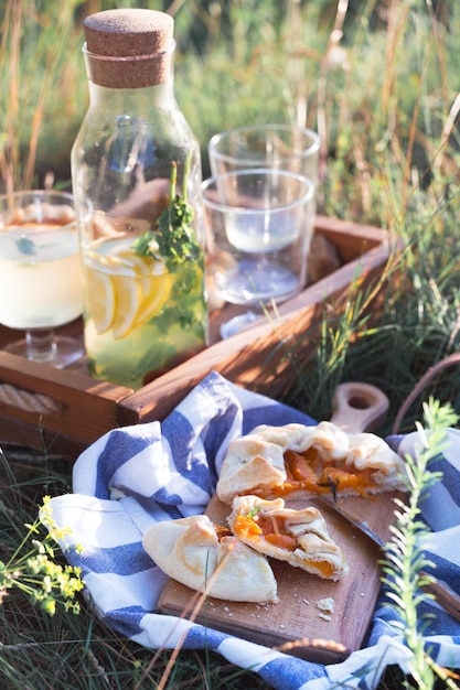 picnic en un prado