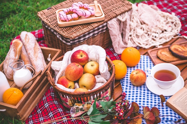 Picnic de verano con una canasta de comida en una manta en el parque.