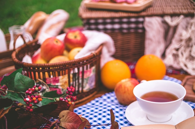 Picnic de verano con una canasta de comida en una manta en el parque.