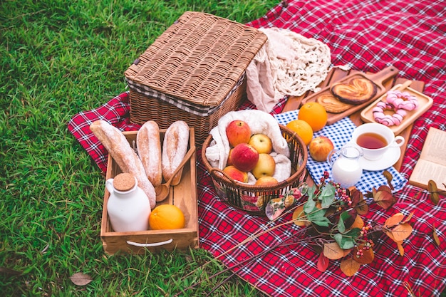 Picnic de verano con una canasta de comida en una manta en el parque.