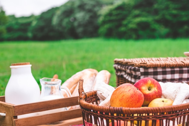 Picnic de verano con una cesta de comida en el parque.