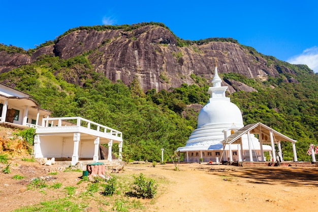 Pico Adams, Sri Lanka