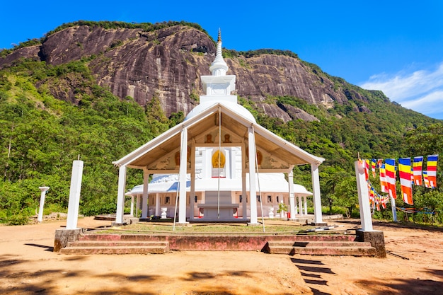 Pico Adams, Sri Lanka