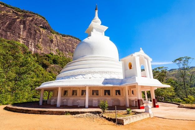 Pico Adams, Sri Lanka