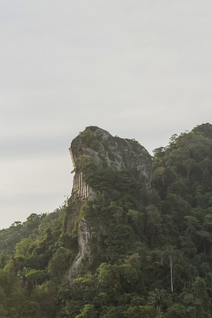 Pico de aguja inhanga en Copacabana en Río de Janeiro, Brasil.