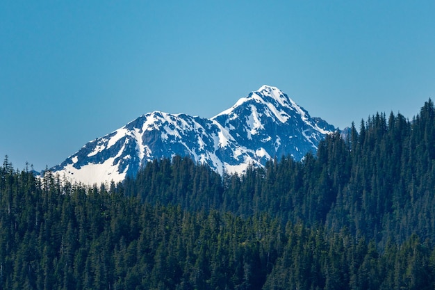 Pico da montanha com vista para Seward no Alasca