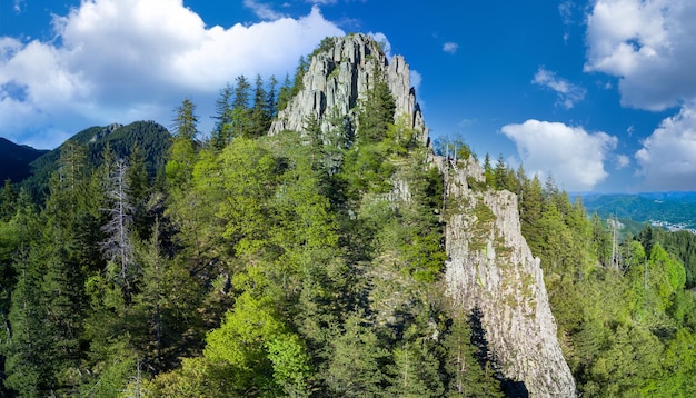 Pico da montanha rhodope com florestas contra o fundo das nuvens panorama vista superior