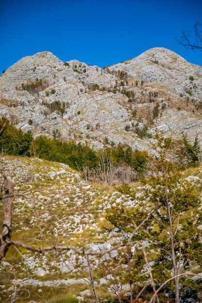 Pico das montanhas, parque nacional lovcen, natureza, montenegro