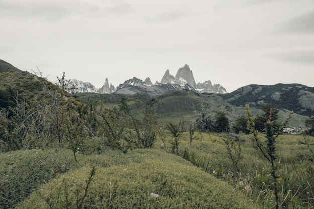 El pico del Fitz Roy tras los matorrales del valle de El Chaltén.