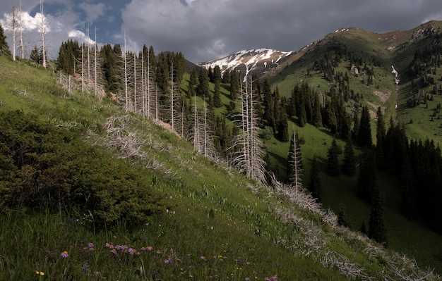 Pico Furmanov en la cresta de la montaña Alatau Almaty Kazajstán Zailiysky Almaty Kazajstán Garganta de Kimasar en el día de verano