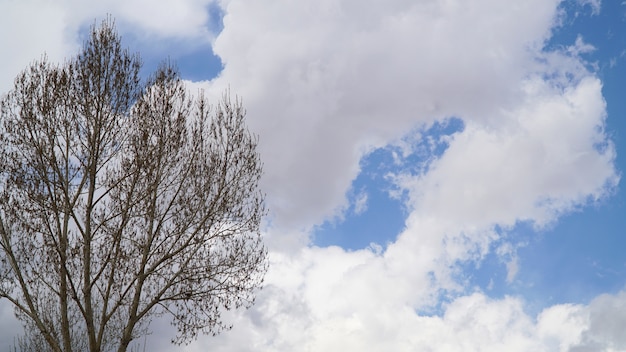 Foto pico de montaña con algunas nubes y cielo azul claro