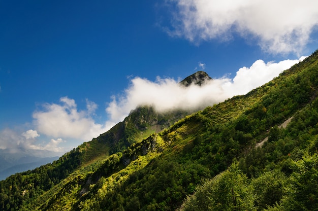 Pico de la montaña nube oculta.