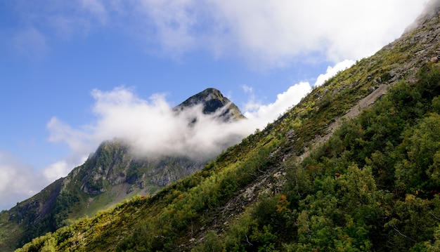 Pico de la montaña nube oculta.