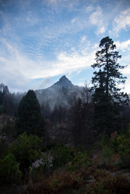 Foto pico de montaña sobre el bosque nevado de colima, volcán en méxico