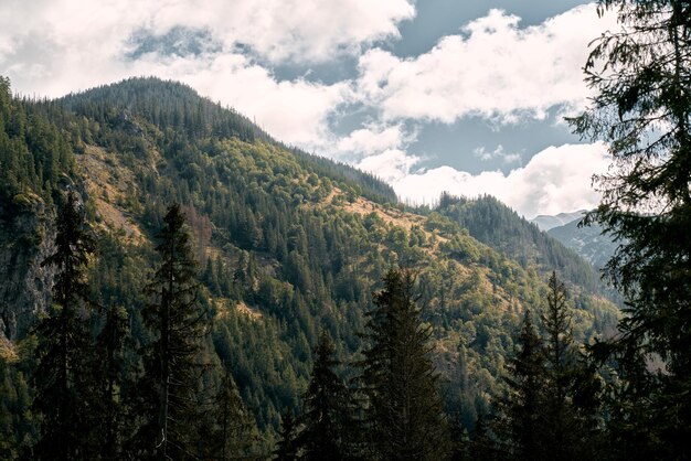 Pico rocoso de la montaña Día soleado en las montañas europeas