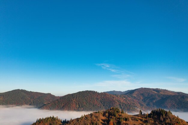 Picos de alta montaña con árboles cubiertos de niebla espesa