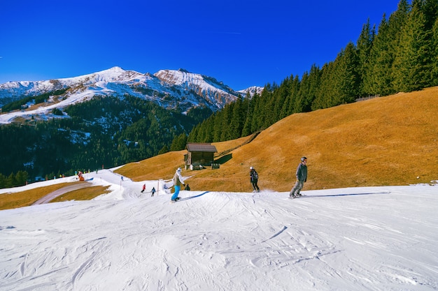 Picos cubiertos de nieve en el fondo