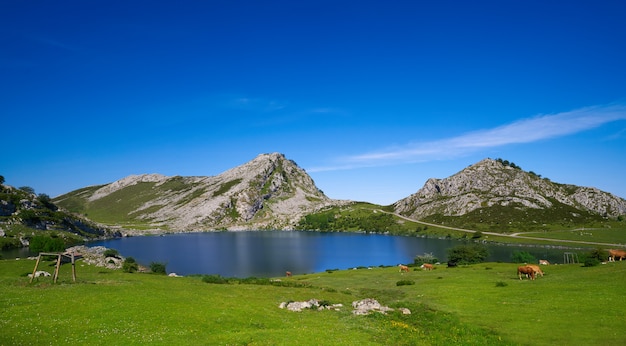 Picos de Europa Enol lago nas Astúrias Espanha