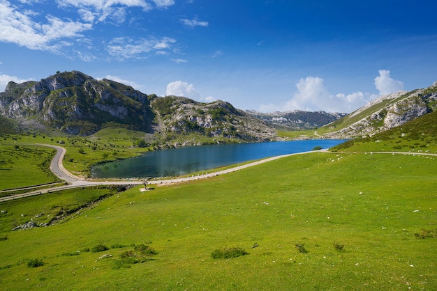 Picos de Europa Enol See in Asturien Spanien