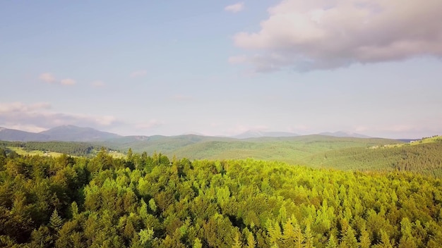 Picos de montanha e céu matinal com nuvens suaves em movimento Paisagem de verão árvores de vale pacíficas no prado nas montanhas dos Cárpatos Ucrânia