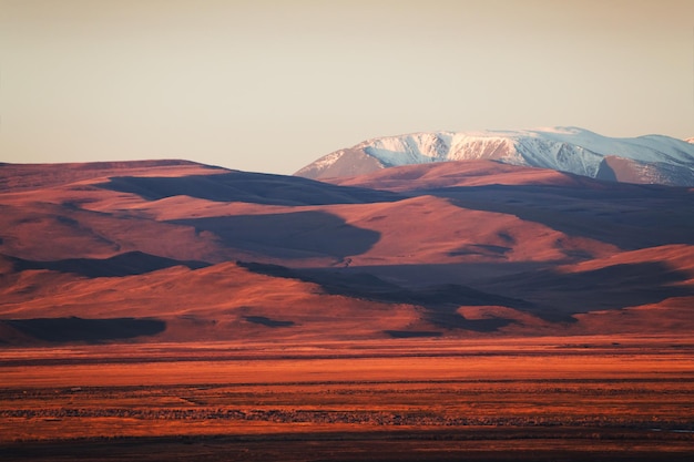 Picos de montanhas cobertas de neve e colinas amarelas ao nascer do sol. Paisagem de outono da estepe Kurai em Altai, Sibéria, Rússia.