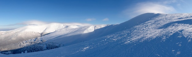 Picos de montanhas cobertas de neve e floresta de coníferas. Maravilhosa floresta de inverno nas montanhas.