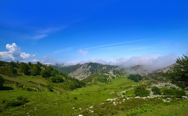 Picos de Europa en Asturias de España