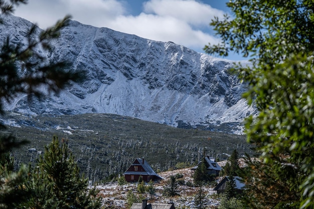 Picos incrivelmente bonitos de montanhas cobertas de neve, vida selvagem incrível