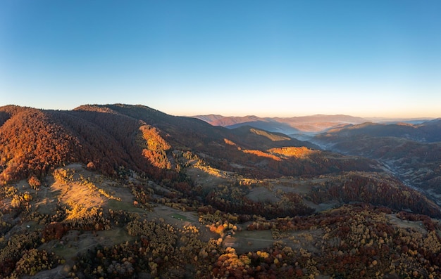 Picos de montaña cubiertos de árboles coloridos al atardecer