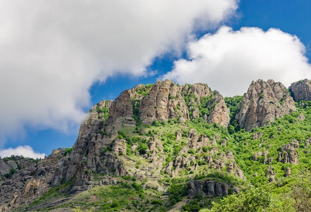 Picos de montaña cubiertos de bosque.